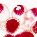 O que significa anemia?