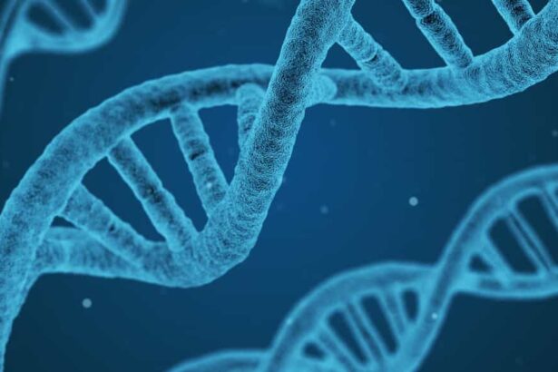 O que significa DNA?
