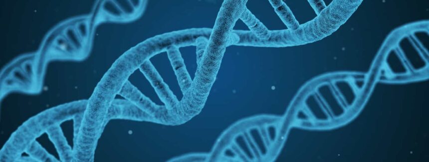 O que significa DNA?