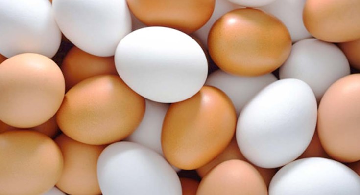 O que significa Não se faz omelete sem quebrar os ovos?