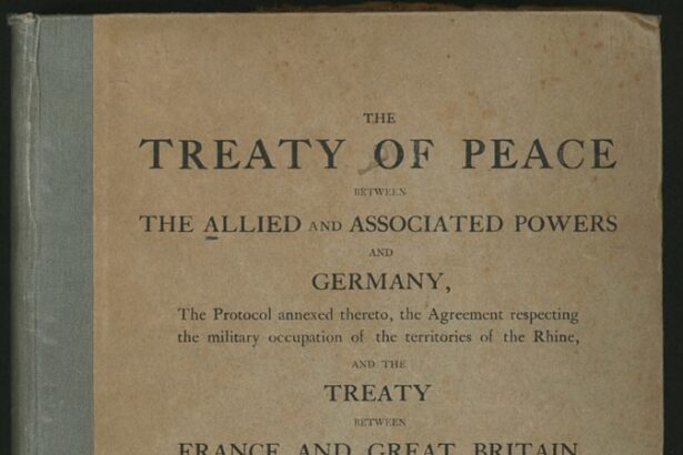 O que significa treaty?