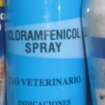 O que significa cloranfenicol?