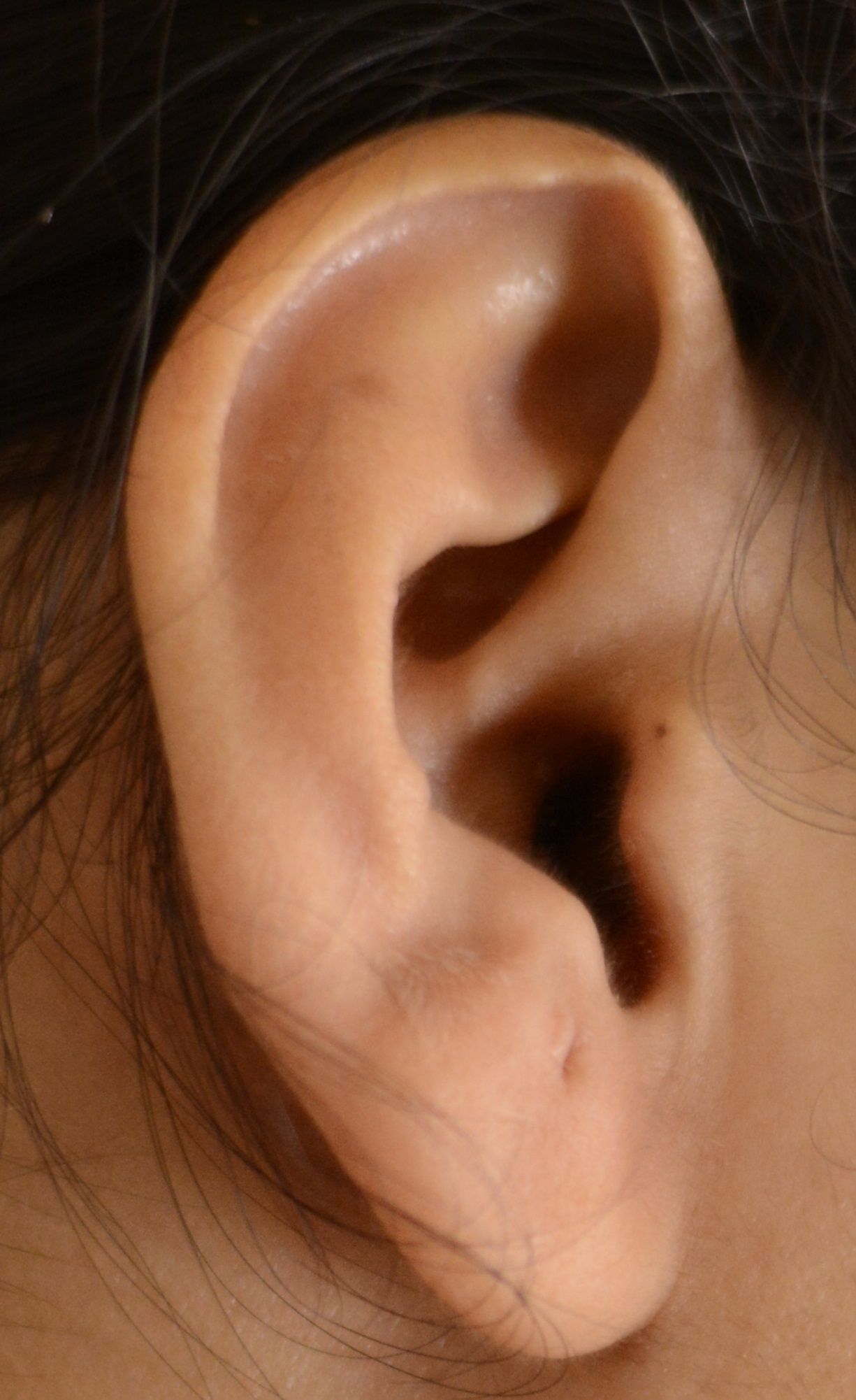 O que significa ear?