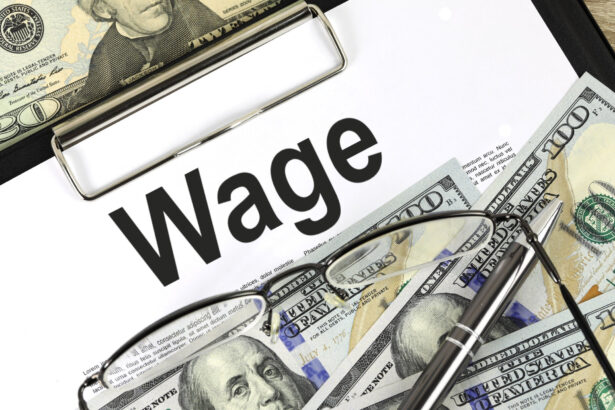O que significa wage?