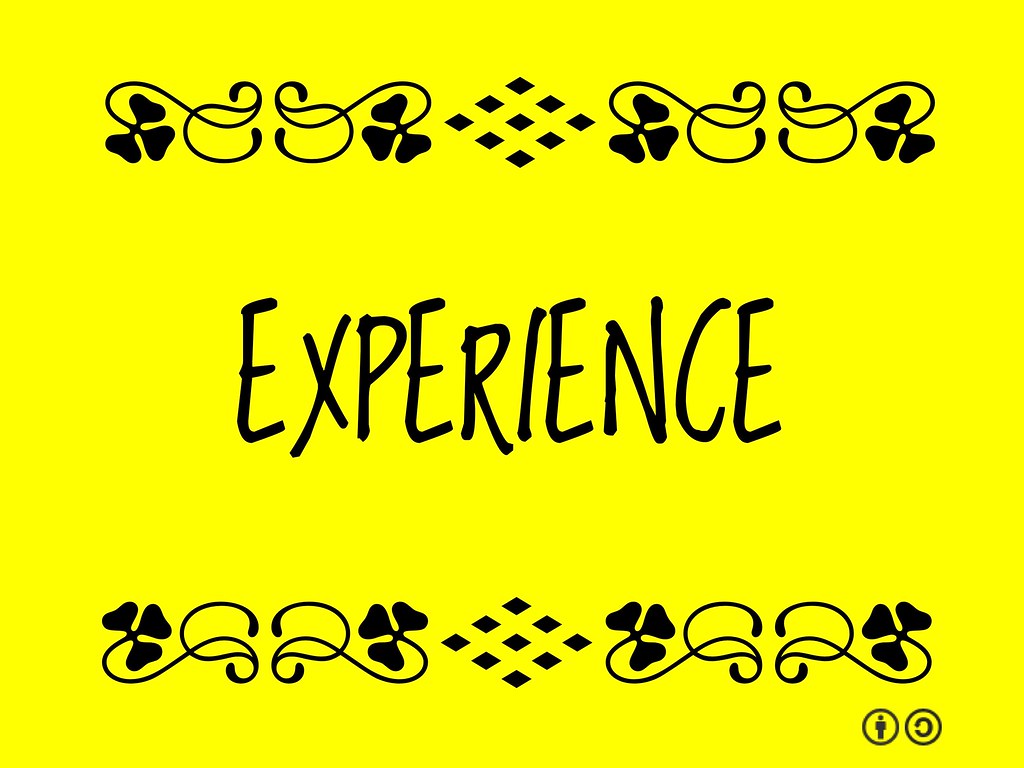O que significa experience?