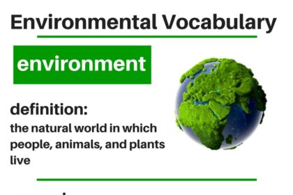 O que significa environment?