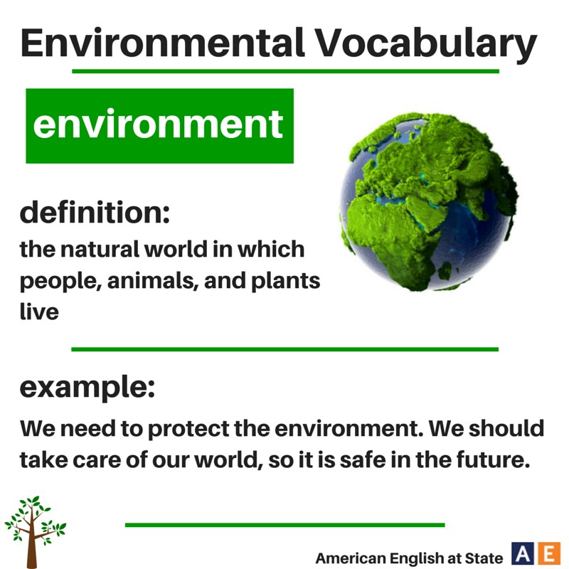 O que significa environment?