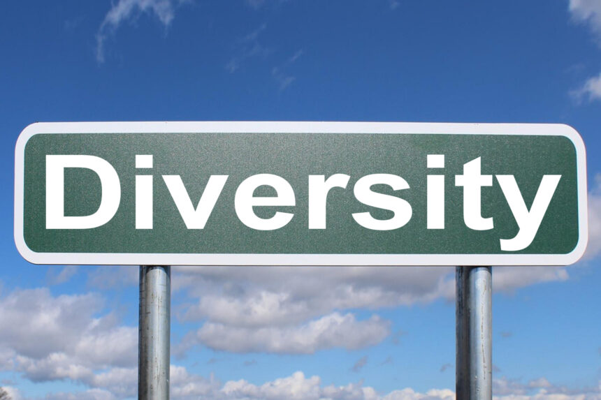 O que significa diversity?