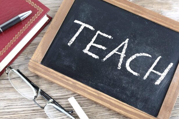 O que significa teach?