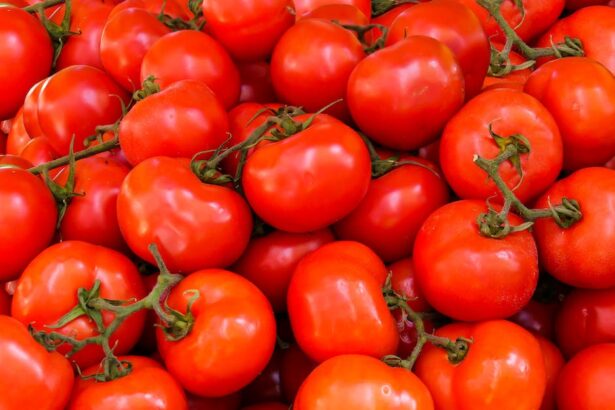O que significa tomato?