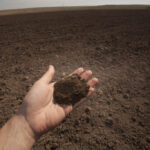 O que significa soil?