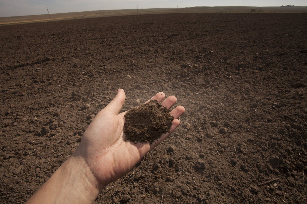 O que significa soil?