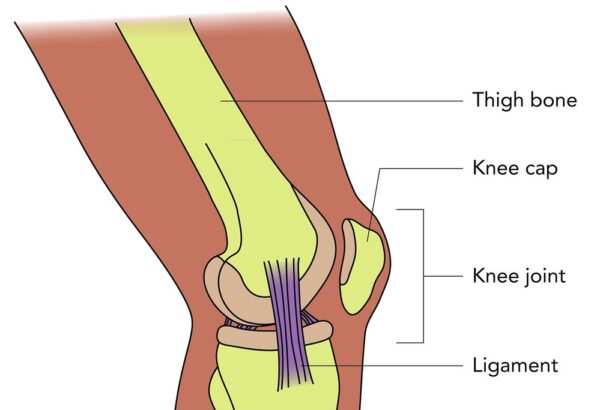 O que significa knee?
