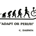 O que significa adapt?