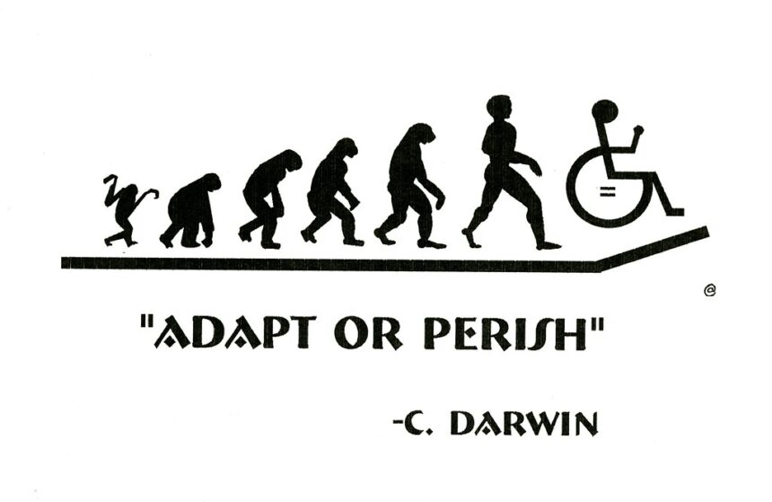 O que significa adapt?