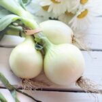 O que significa onion?