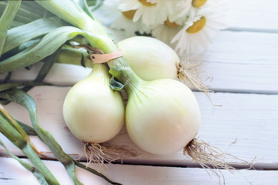 O que significa onion?