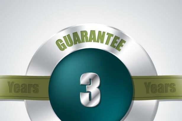 O que significa guarantee?