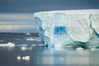 O que significa ice?