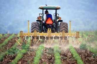 O que significa farmer?