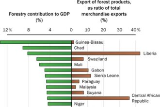 O que significa contribution?