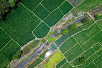 O que significa agricultural?